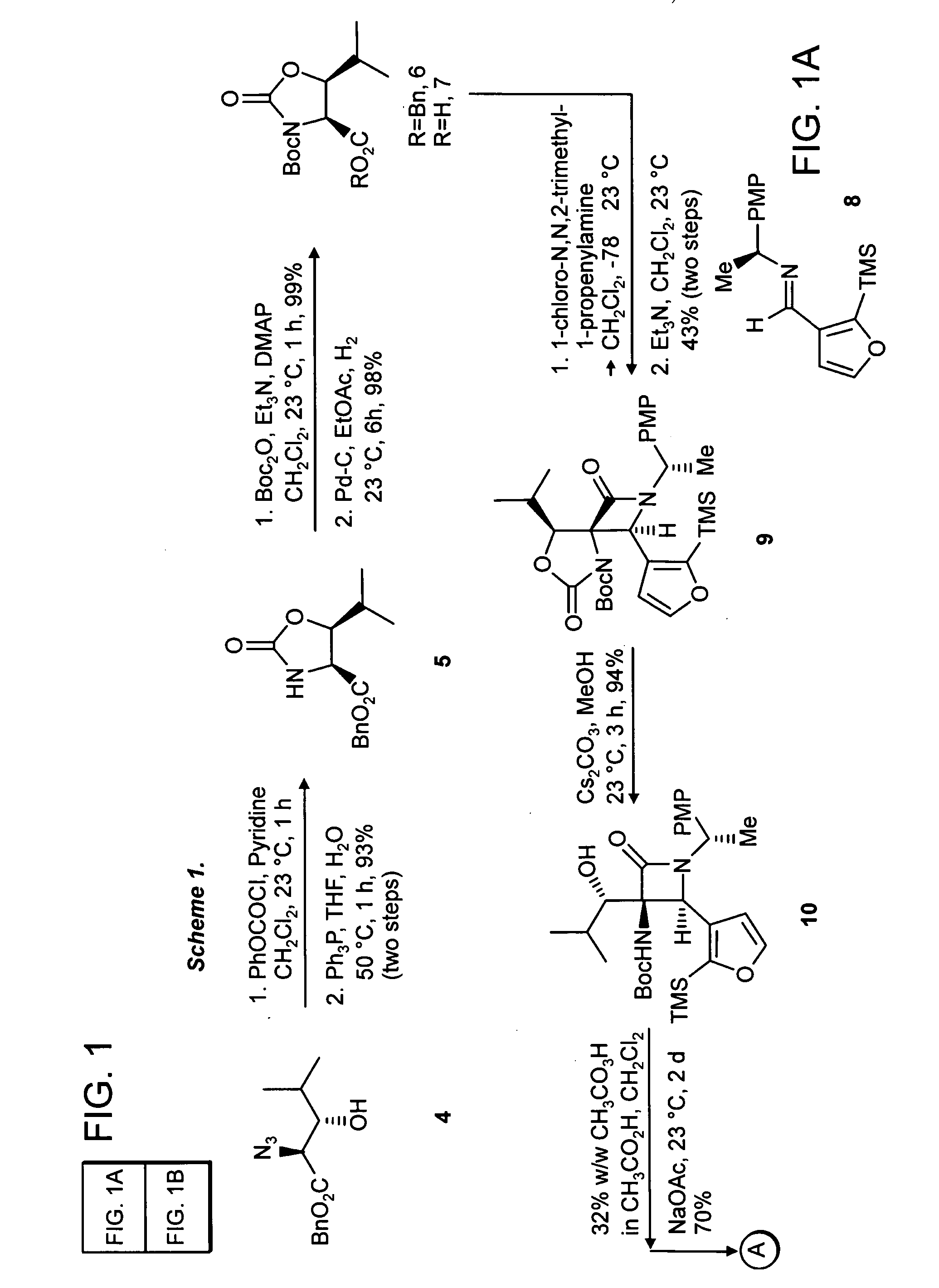 Proteasome inhibiting beta-lactam compounds