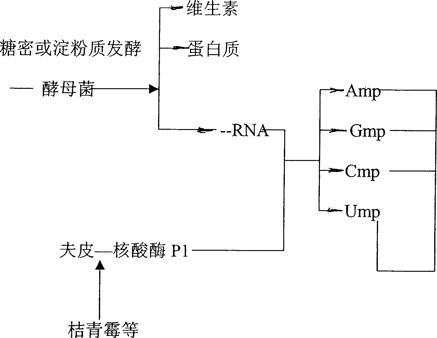 Special function wine using nucleotide Chinese herbal medicine as main raw material