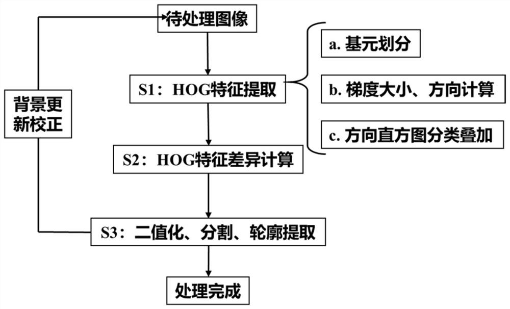 Thermal fluid image processing method and system, terminal and medium