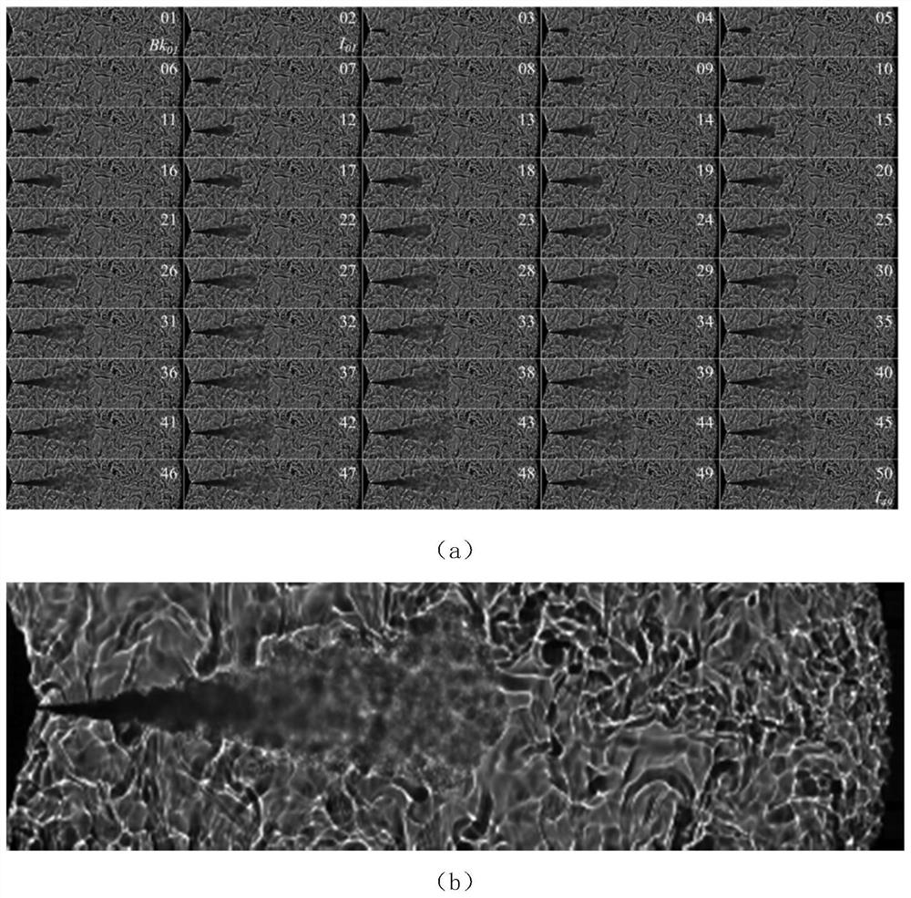 Thermal fluid image processing method and system, terminal and medium