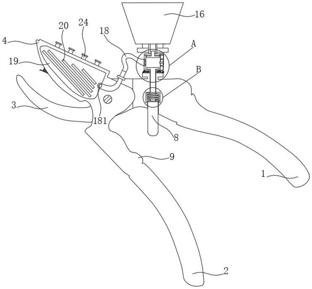 Tree branch pruning equipment for camellia oleifera planting