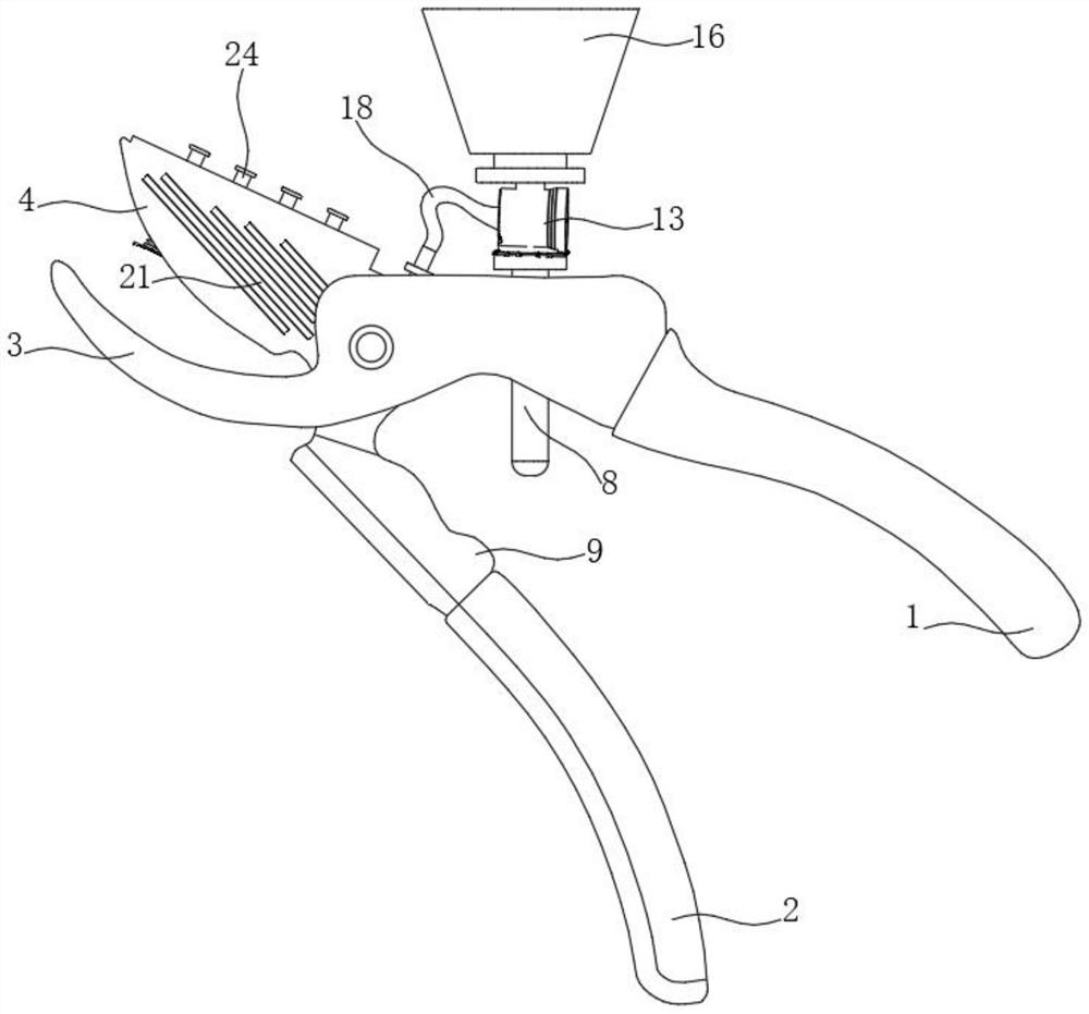 Tree branch pruning equipment for camellia oleifera planting