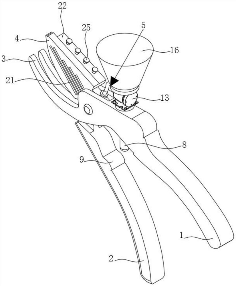 Tree branch pruning equipment for camellia oleifera planting