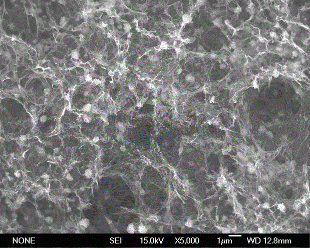 Flake MoS2/graphene composite aerogel and preparation method thereof