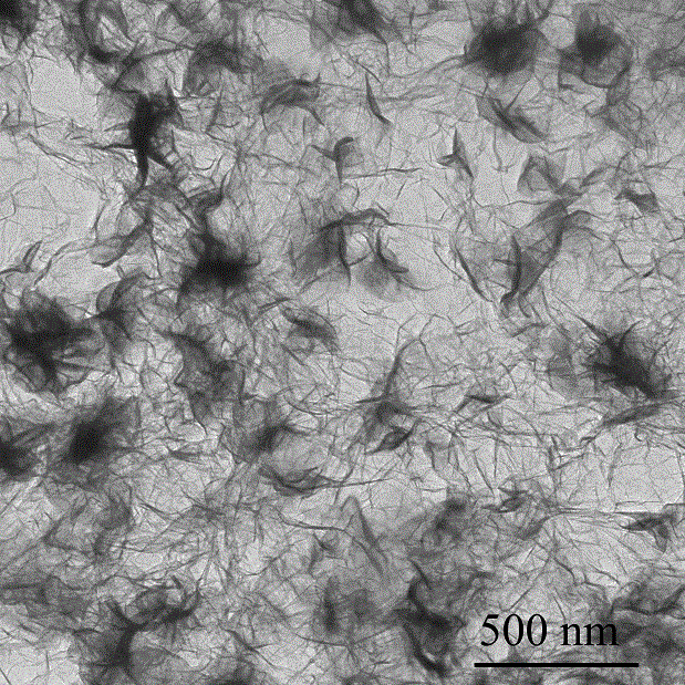 Flake MoS2/graphene composite aerogel and preparation method thereof