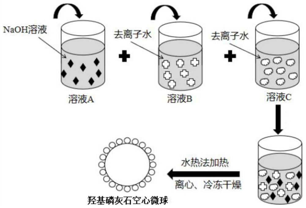 Sodium alginate/collagen composite bone scaffold as well as preparation method and application thereof