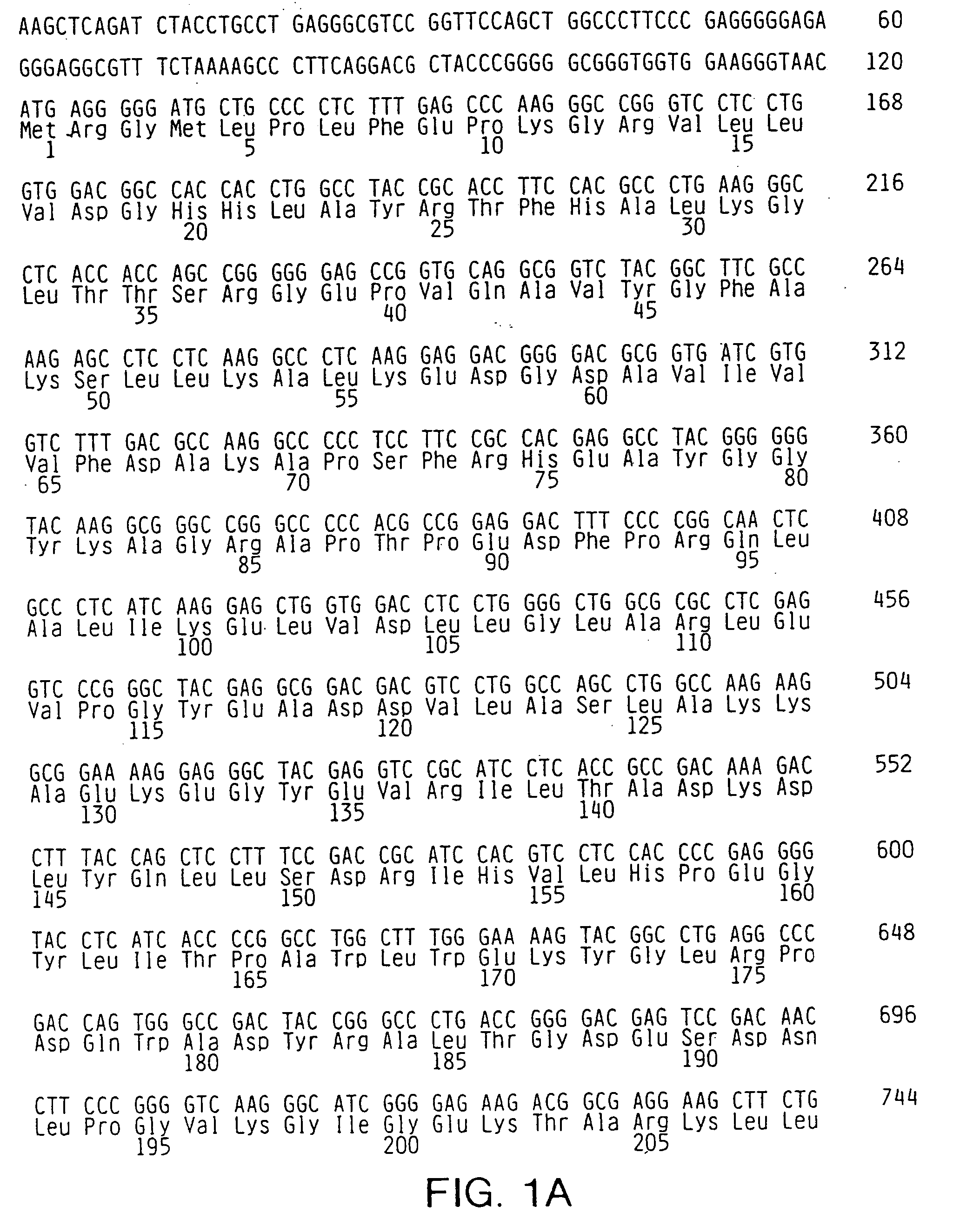 Thermostable polymerases having altered fidelity and methods of identifying and using same