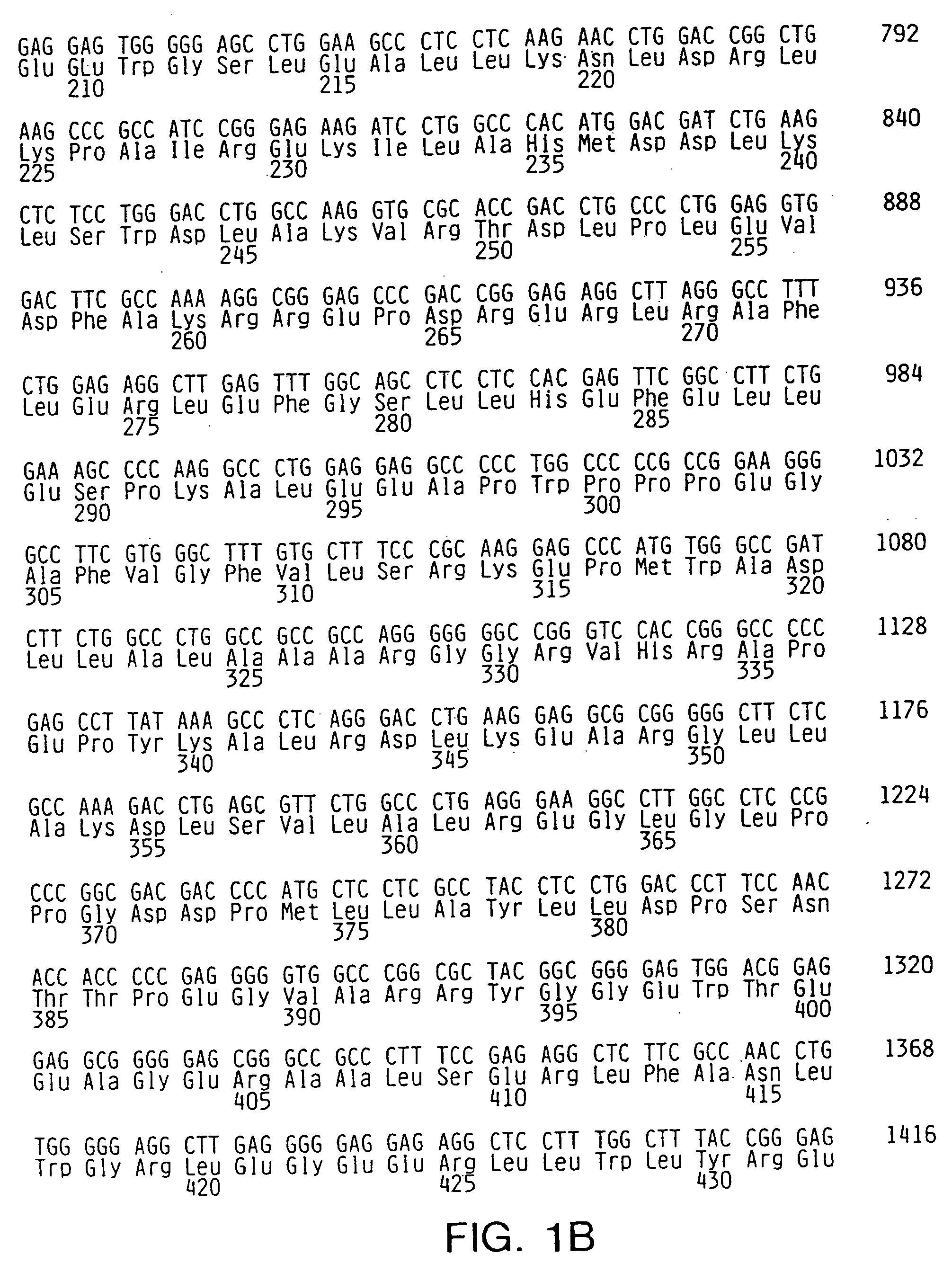 Thermostable polymerases having altered fidelity and methods of identifying and using same