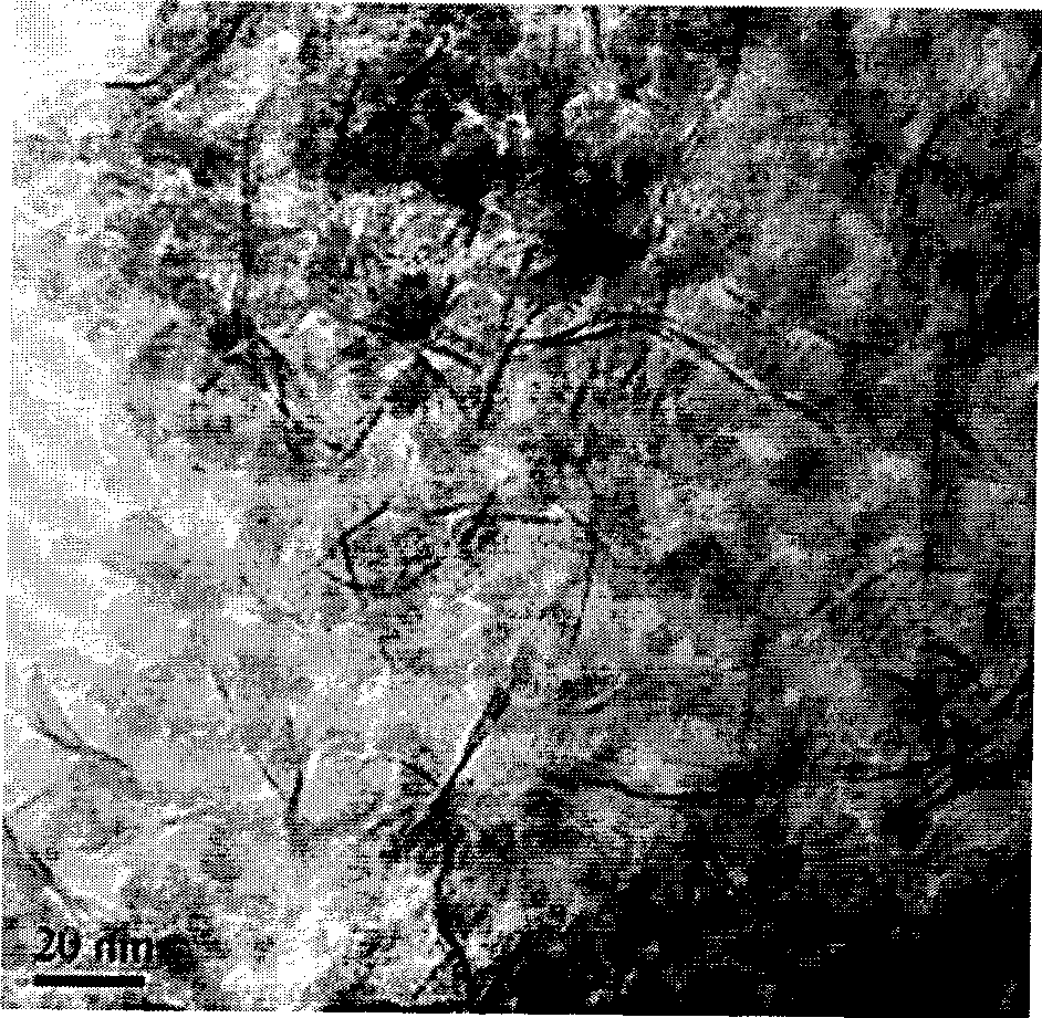 Nickel-based catalyst for hydrogen production by ethanol steam reforming and preparation method thereof