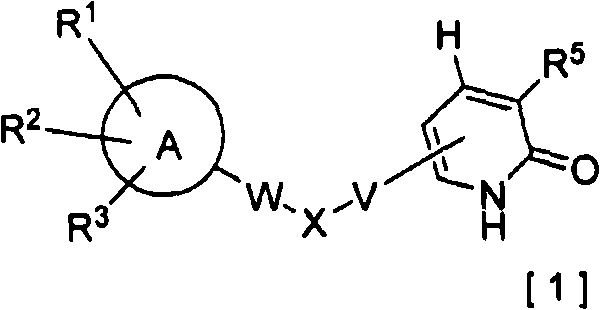 2-pyridone compound