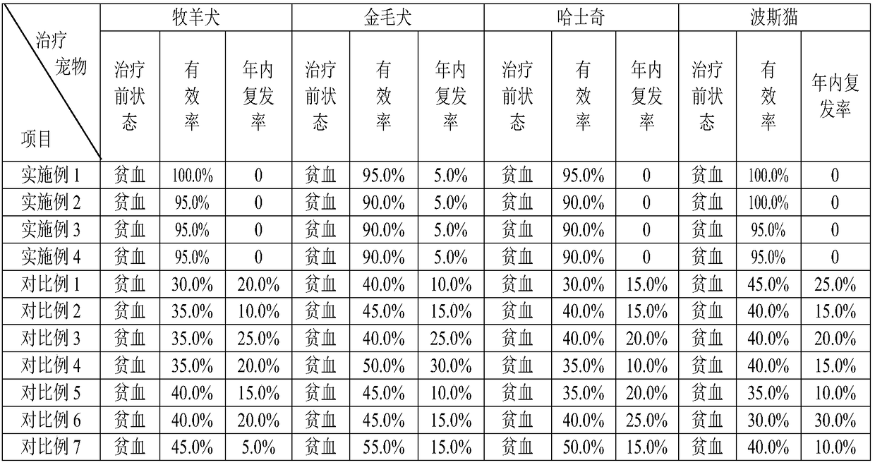 Blood-enriching tablet for pets and preparation method of blood-enriching tablet