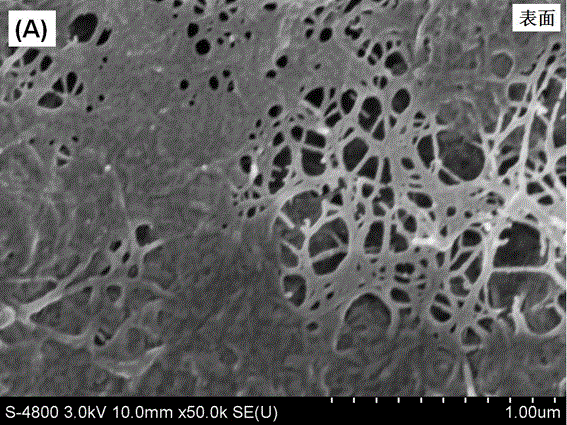 Nano-cellulose reinforced silk fibroin composite material and preparation method thereof