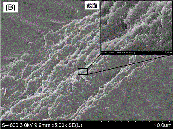 Nano-cellulose reinforced silk fibroin composite material and preparation method thereof