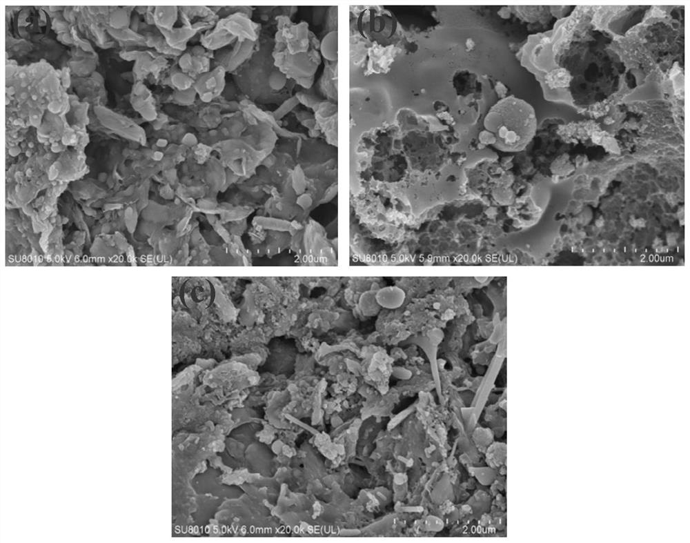 Method for catalyzing ozone to reinforce sludge dewatering by using sludge-derived biochar