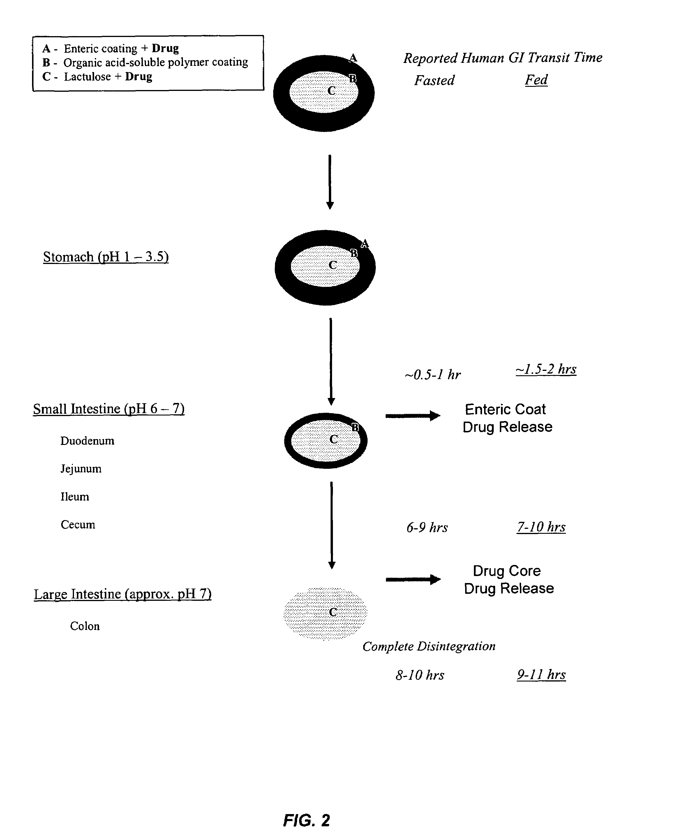 Gastrointestinal-specific multiple drug release system