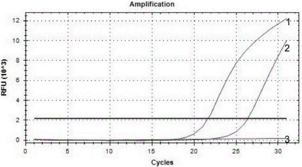 Diagnostic kit and method for detecting mutation on human C-Kit gene exon 13