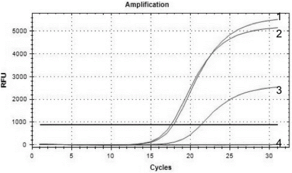 Diagnostic kit and method for detecting mutation on human C-Kit gene exon 13