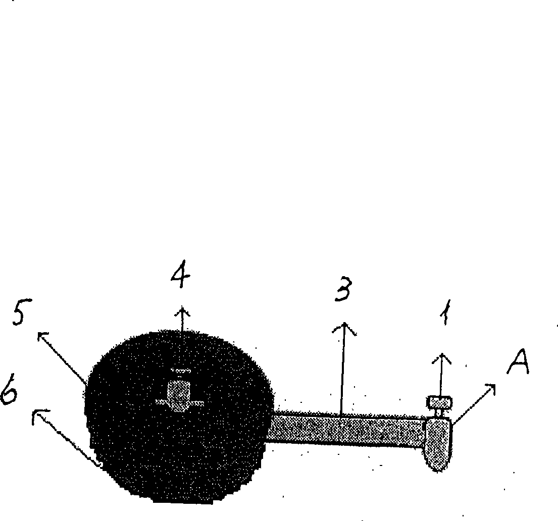 Nutrient brick for pig and supply mode thereof