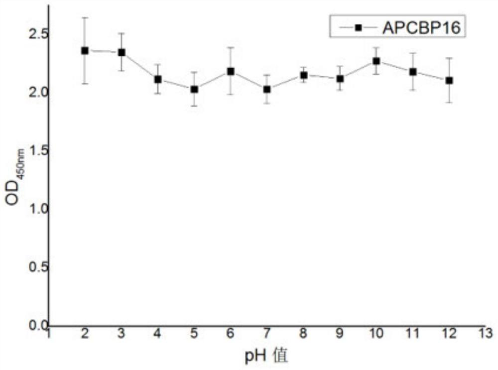 An artificial binding protein capable of specifically recognizing allophycocyanin and its obtaining method