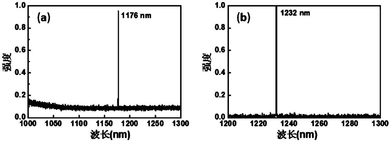 Neodymium ion doped vanadate crystal laser