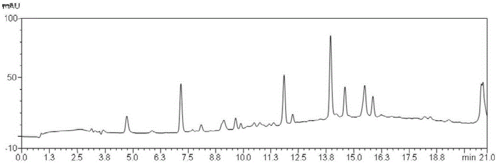 Active substance for treating diabetes, preparation method thereof and medicine