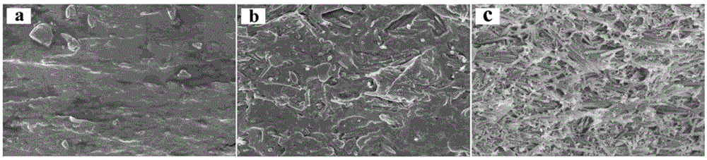 Polydopamine-modified halloysite nanotube / polylactic acid composite material and preparation and application thereof