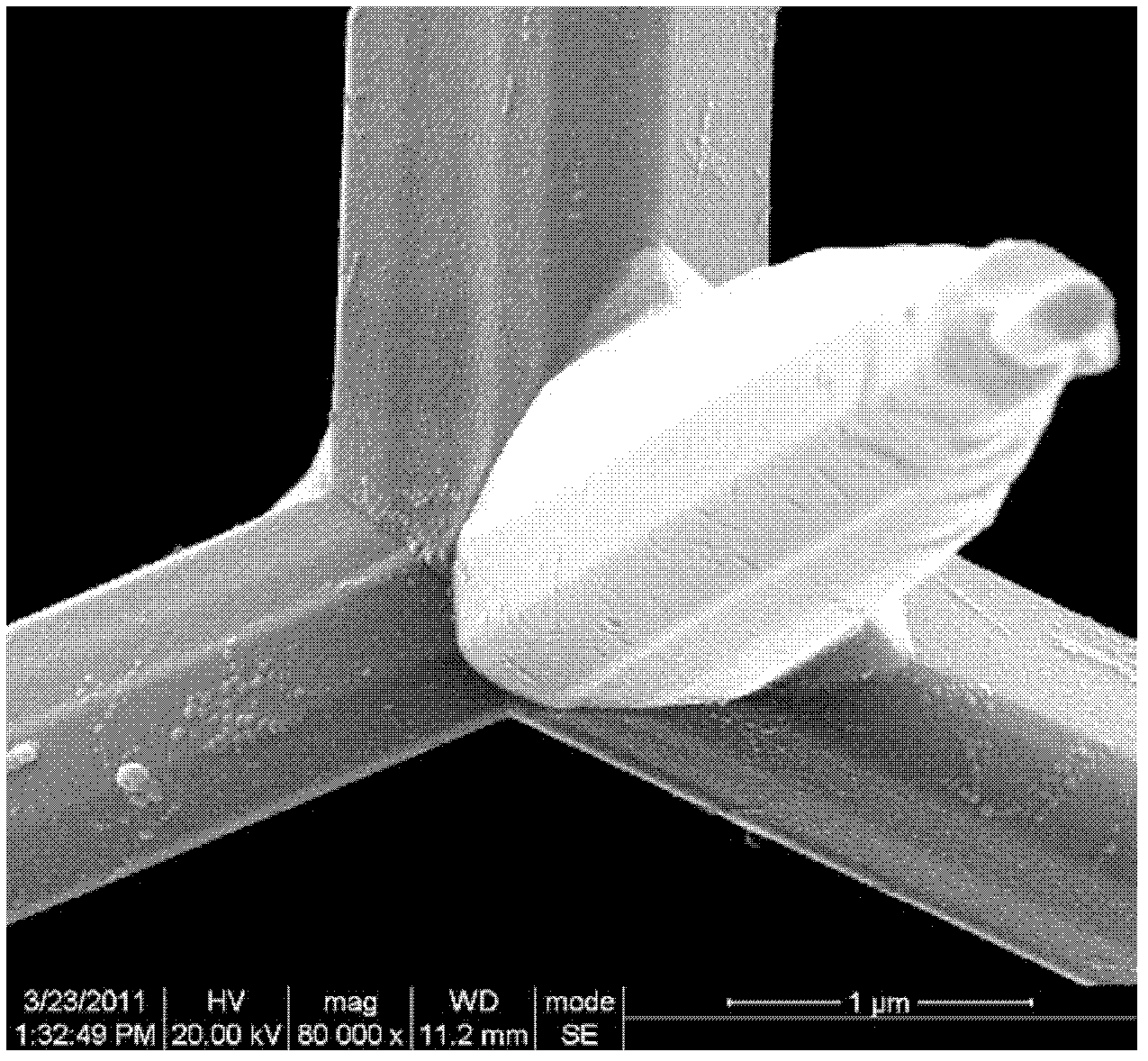 Method for improving antibacterial property of tetrapod-like zinc oxide whisker