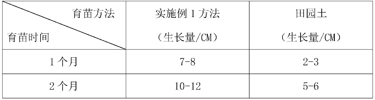 Cultivation method of rootstock seedlings of Passiflora edulis