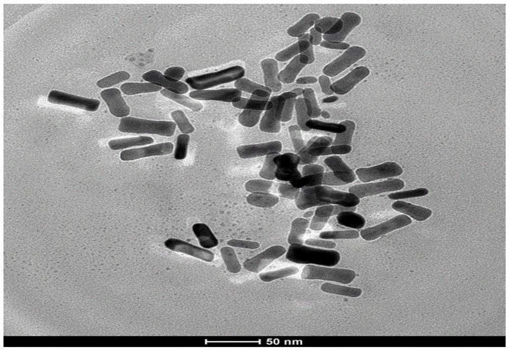 Trastuzumab bond-linking gold nanorod compound, preparation method and application thereof in diagnosis and treatment of HER2 positive breast cancer