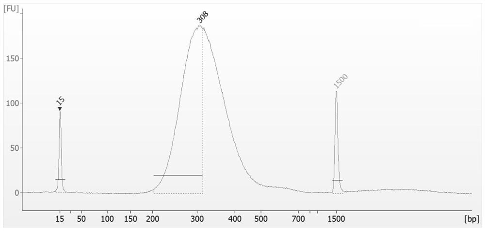 Probe set for detecting tuberous sclerosis gene mutation and kit thereof