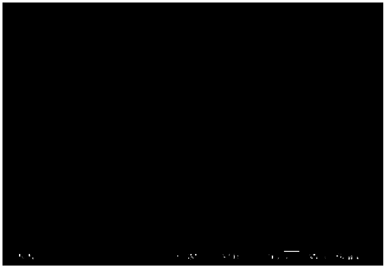 Tantalum alloy surface modified composite Hf-Ta coating layer and preparation method thereof