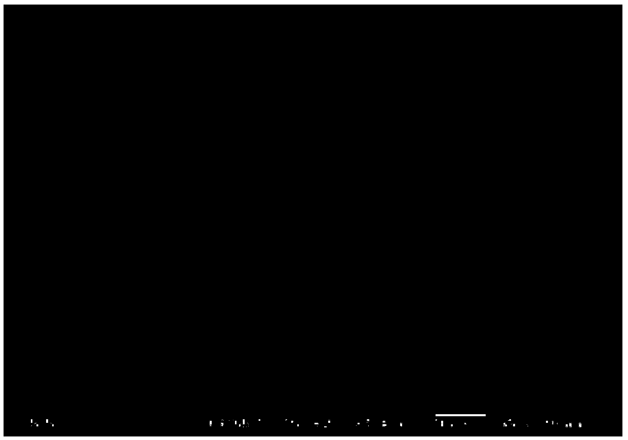 Tantalum alloy surface modified composite Hf-Ta coating layer and preparation method thereof