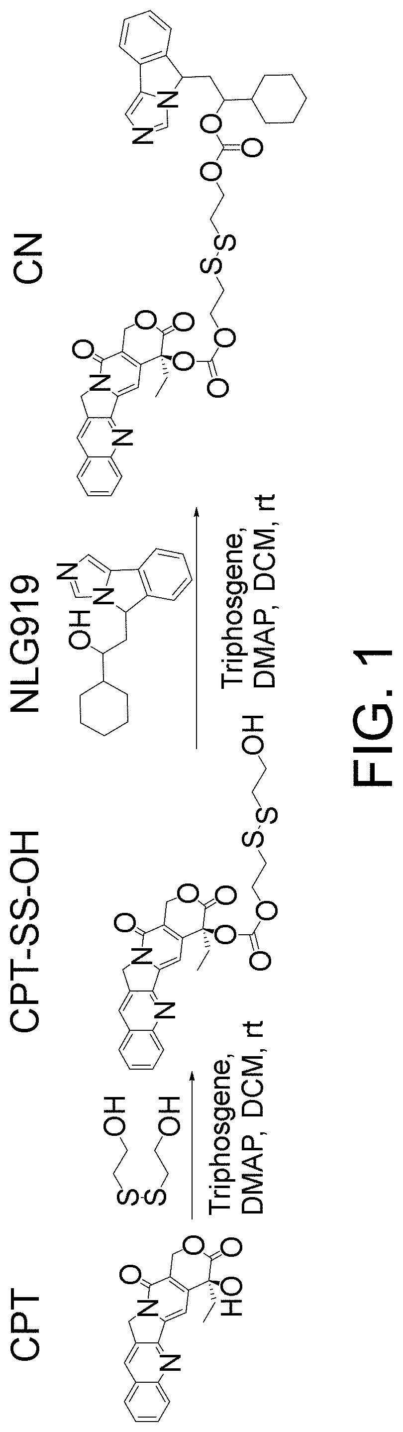 Camptothecin-based dimer compound, anticancer drug and method of eliminating cancer stem cell