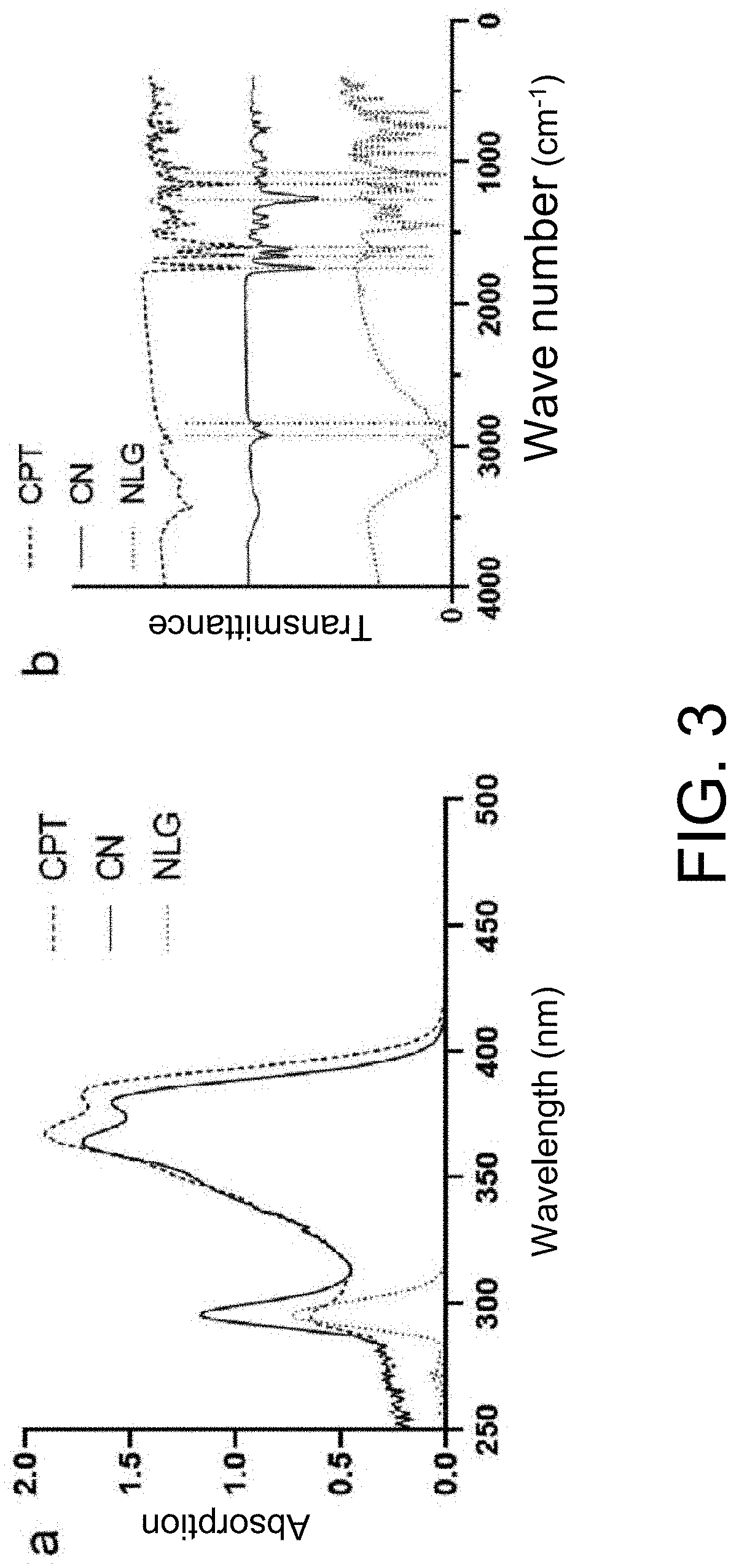 Camptothecin-based dimer compound, anticancer drug and method of eliminating cancer stem cell