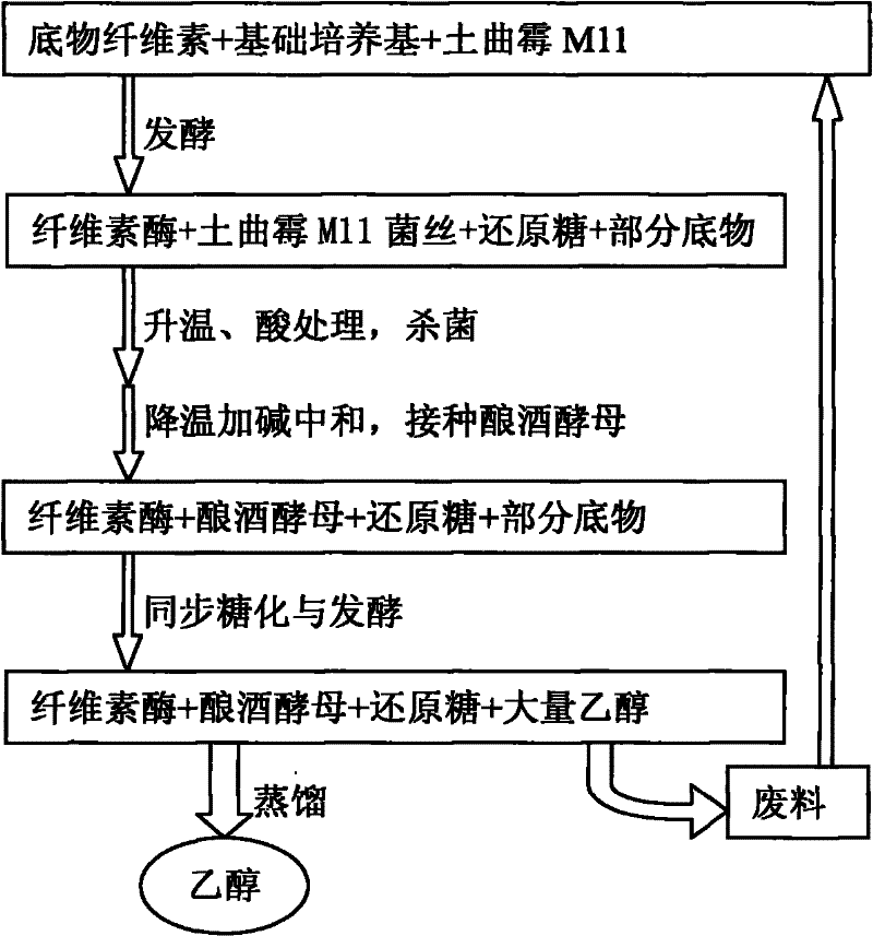 Stain for producing heat-resisting and acid-resisting cellulase with high yield and new method for fermenting cellulosic ethanol