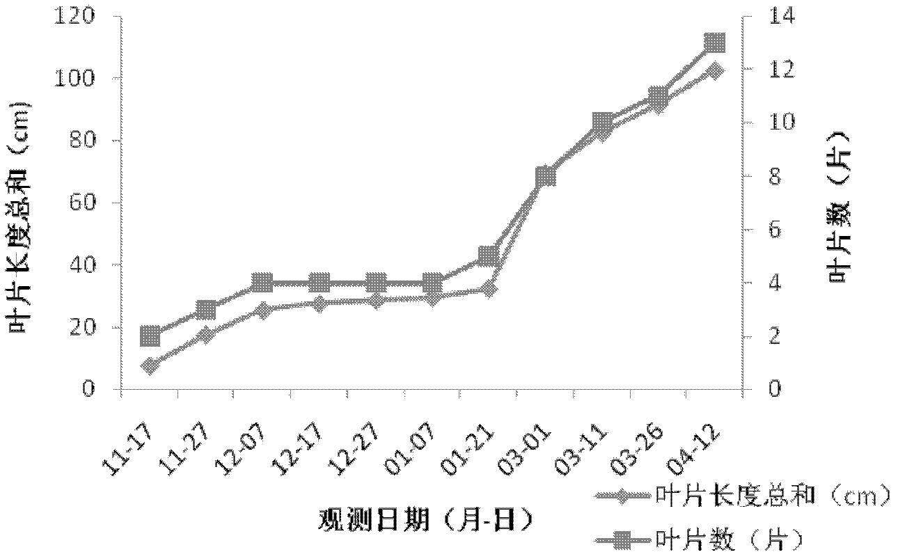 Application of LED (Light Emitting Diode) in plant cultivation