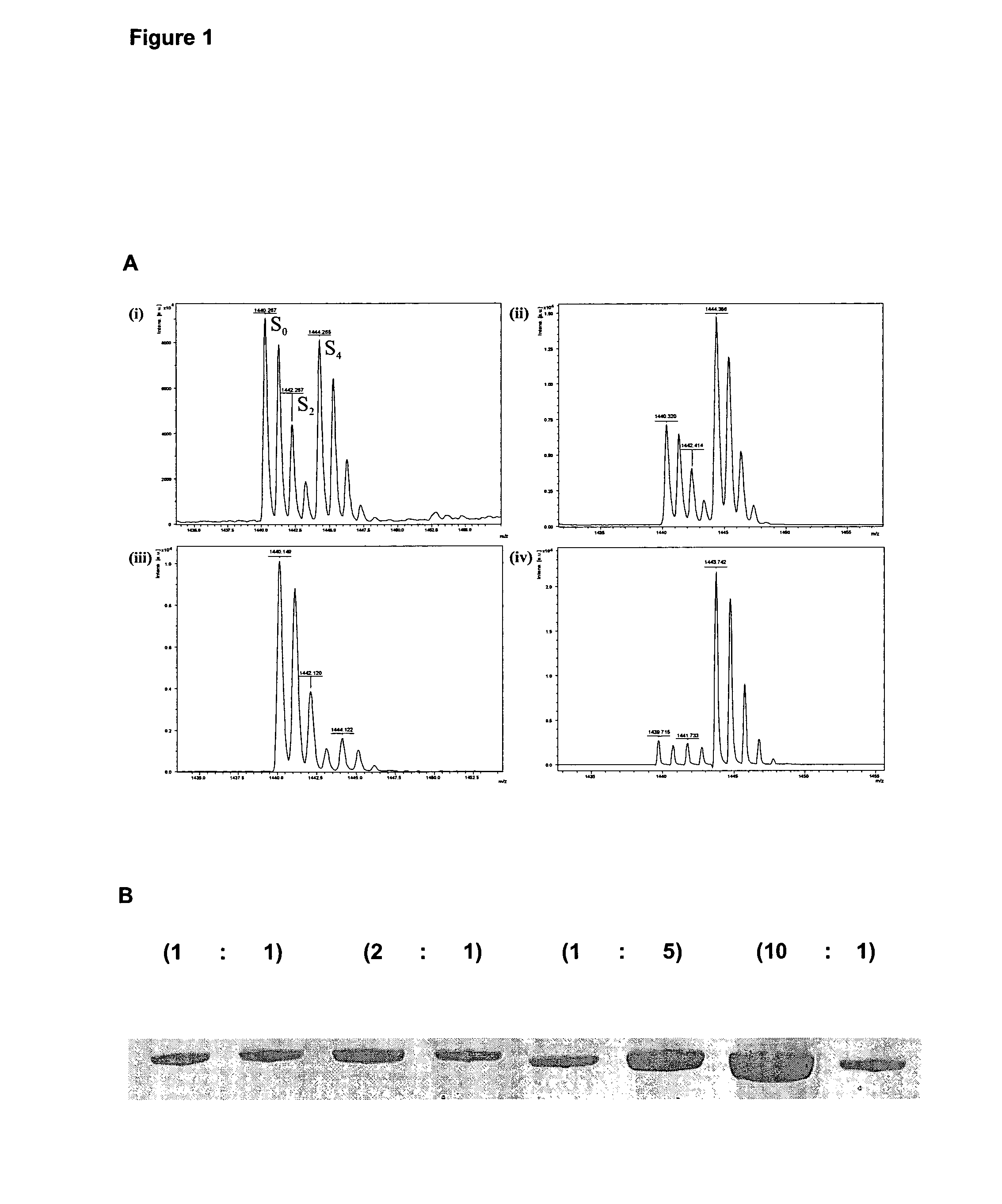 Biofilm treatment