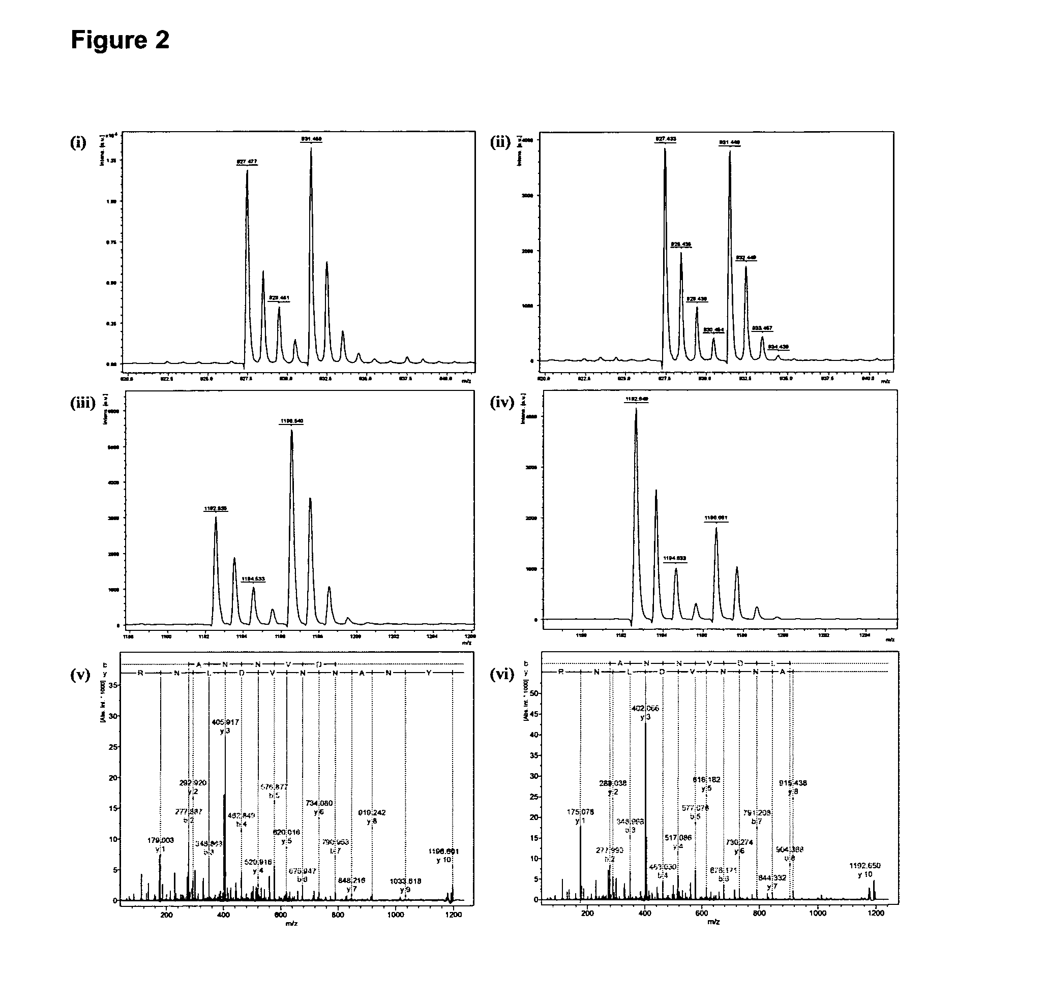 Biofilm treatment