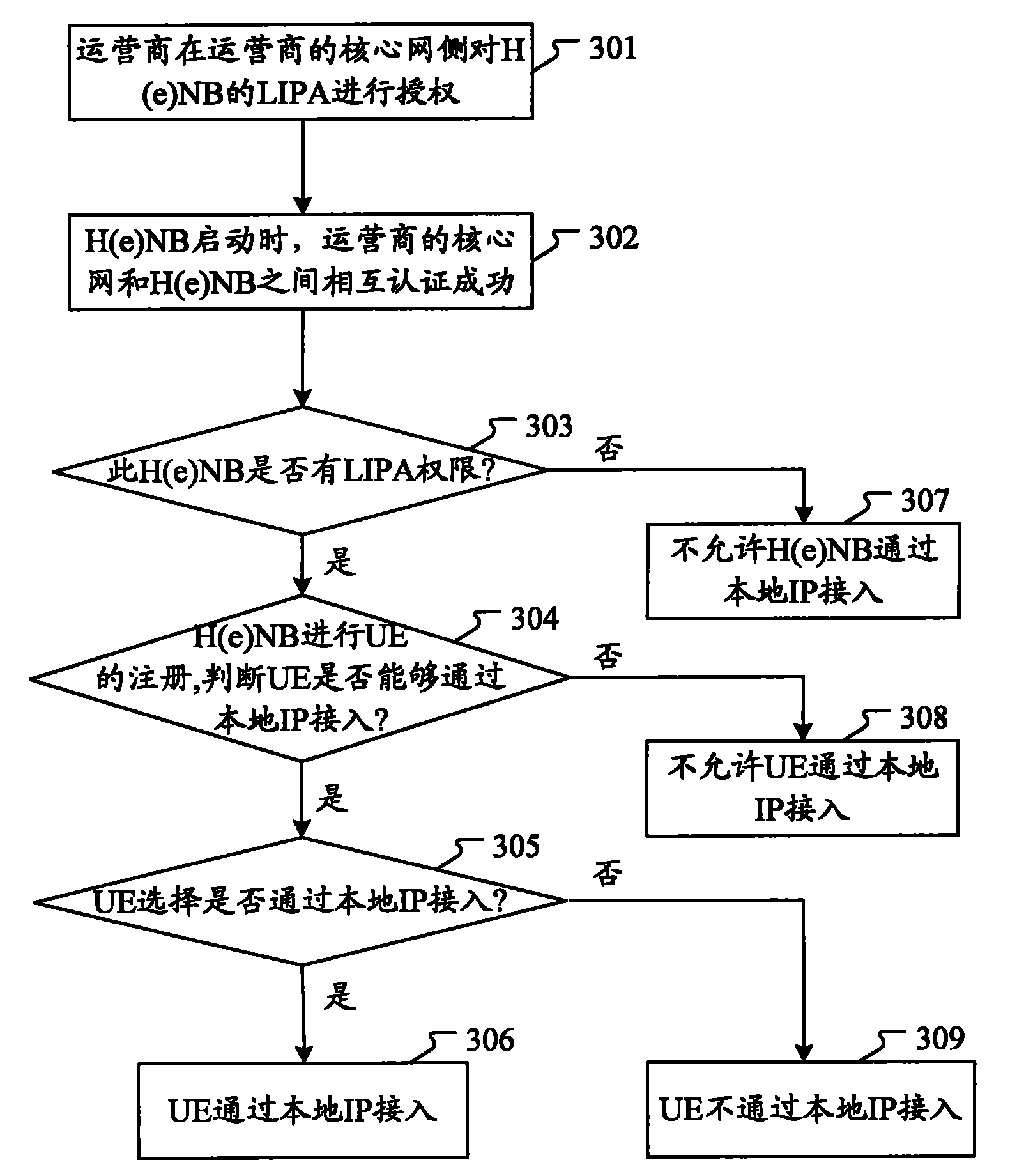 LIPA data flow transmission method and system