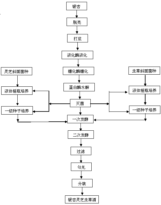 Gingko, ganoderma lucidum and cordyceps spirit and preparation method thereof