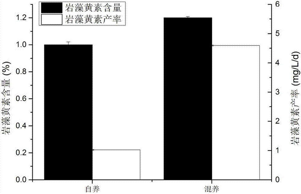 Method for producing fucoxanthin through light culture of nitzchia laevis