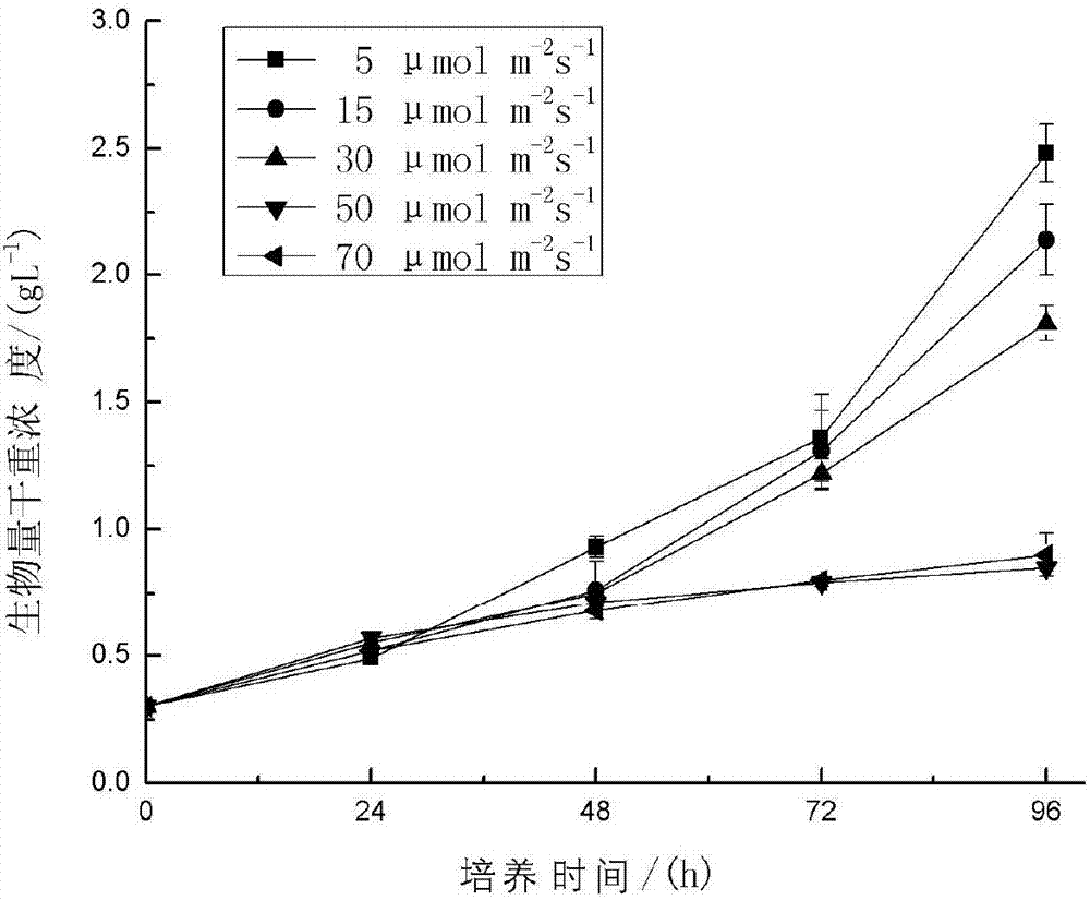 Method for producing fucoxanthin through light culture of nitzchia laevis