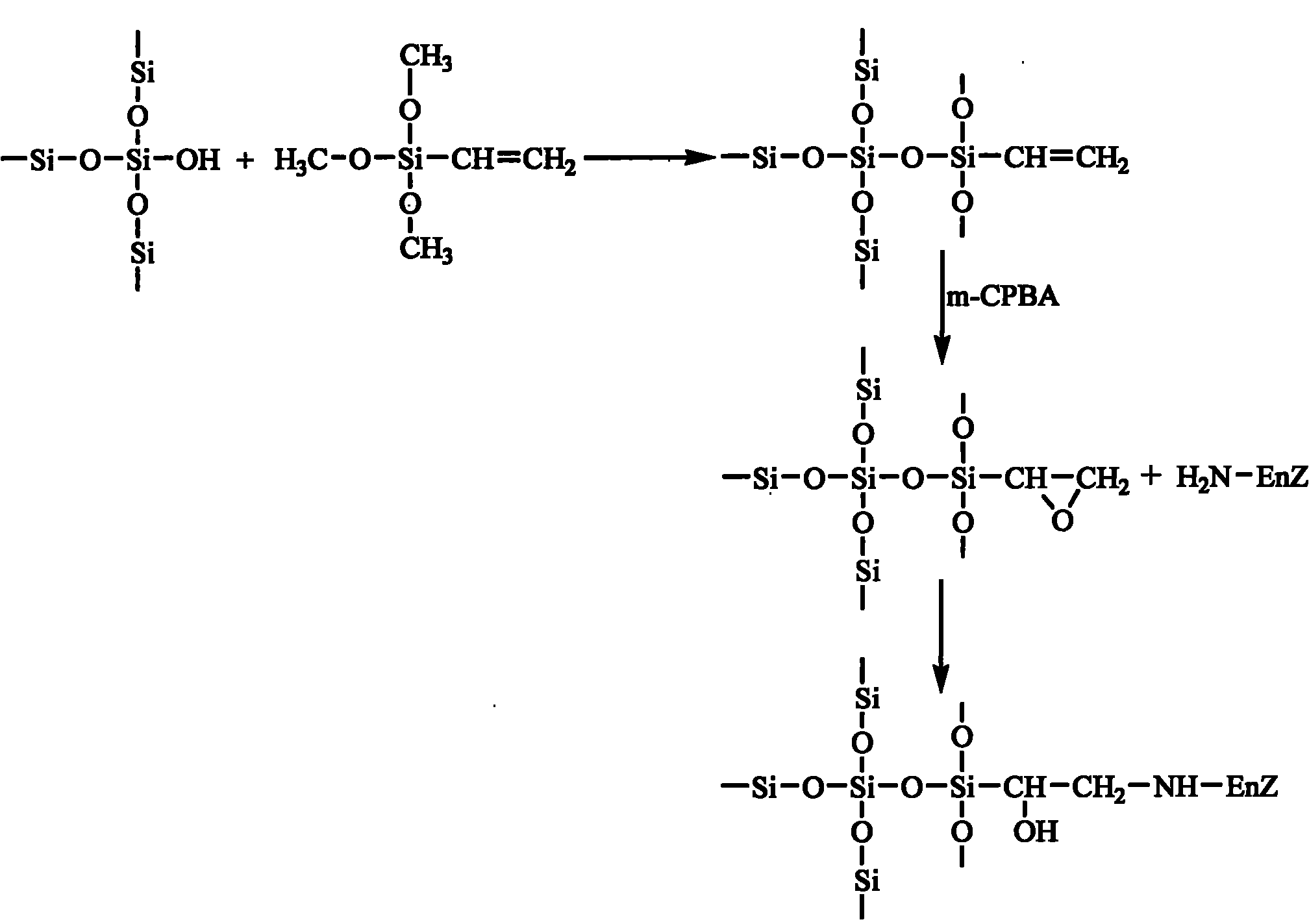 Epoxy mesoporous molecular sieve for use in bio-enzyme immobilization and preparation method thereof