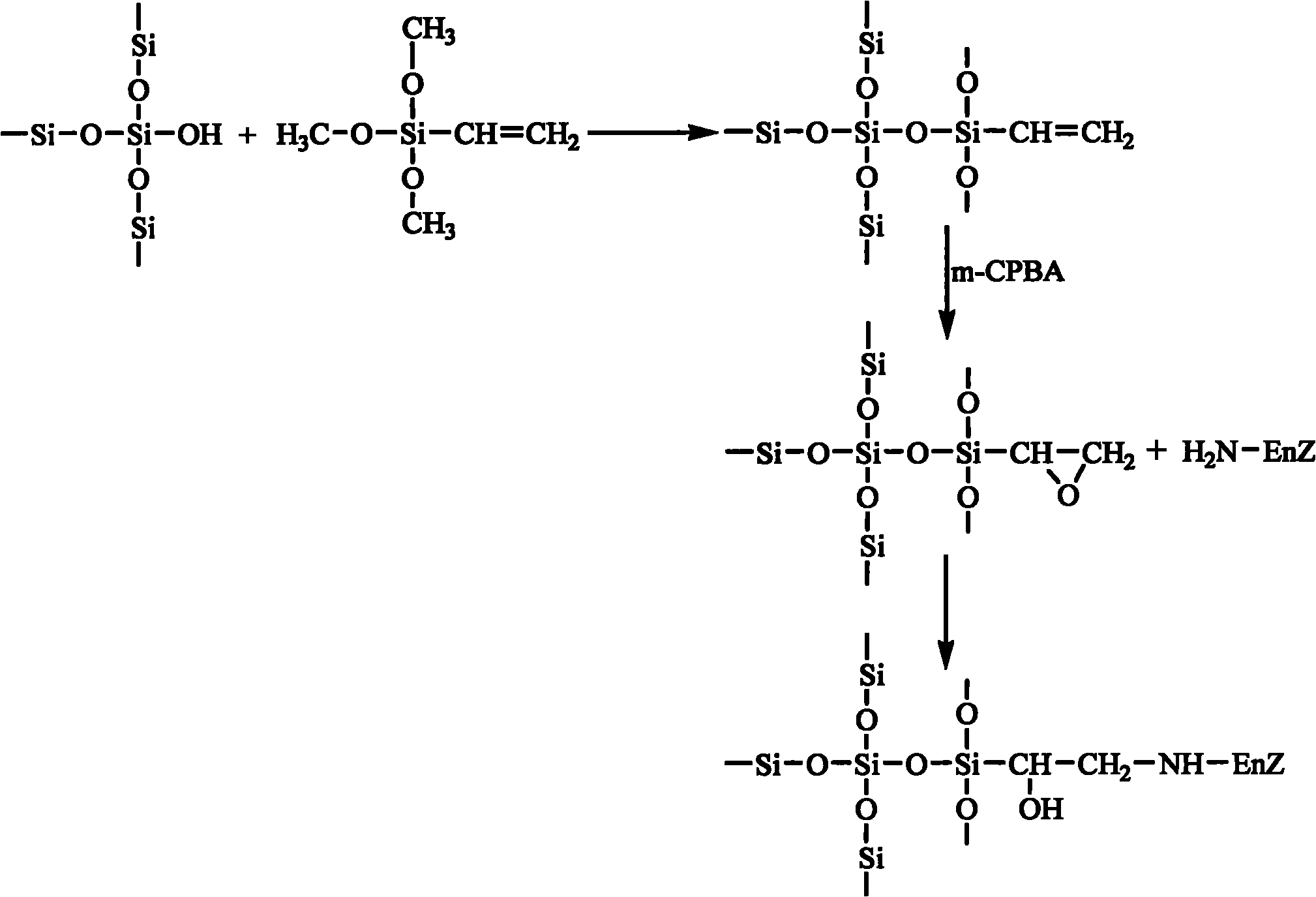 Epoxy mesoporous molecular sieve for use in bio-enzyme immobilization and preparation method thereof