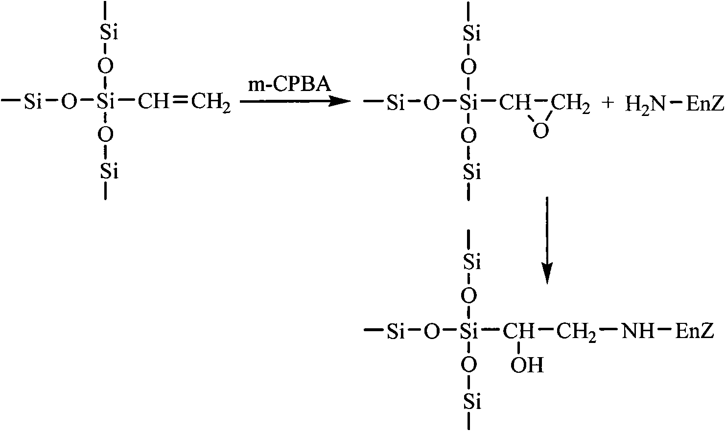 Epoxy mesoporous molecular sieve for use in bio-enzyme immobilization and preparation method thereof