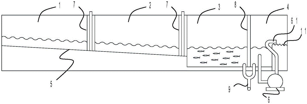 Giant salamander ecology cycle pool and giant salamander cultivation method thereof