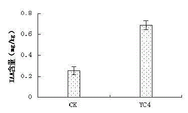 Tobacco plant growth promoting bacterium YC4 and application thereof