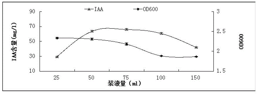 Tobacco plant growth promoting bacterium YC4 and application thereof