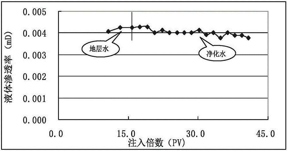 Multi-system long-time antiscale agent for oil well