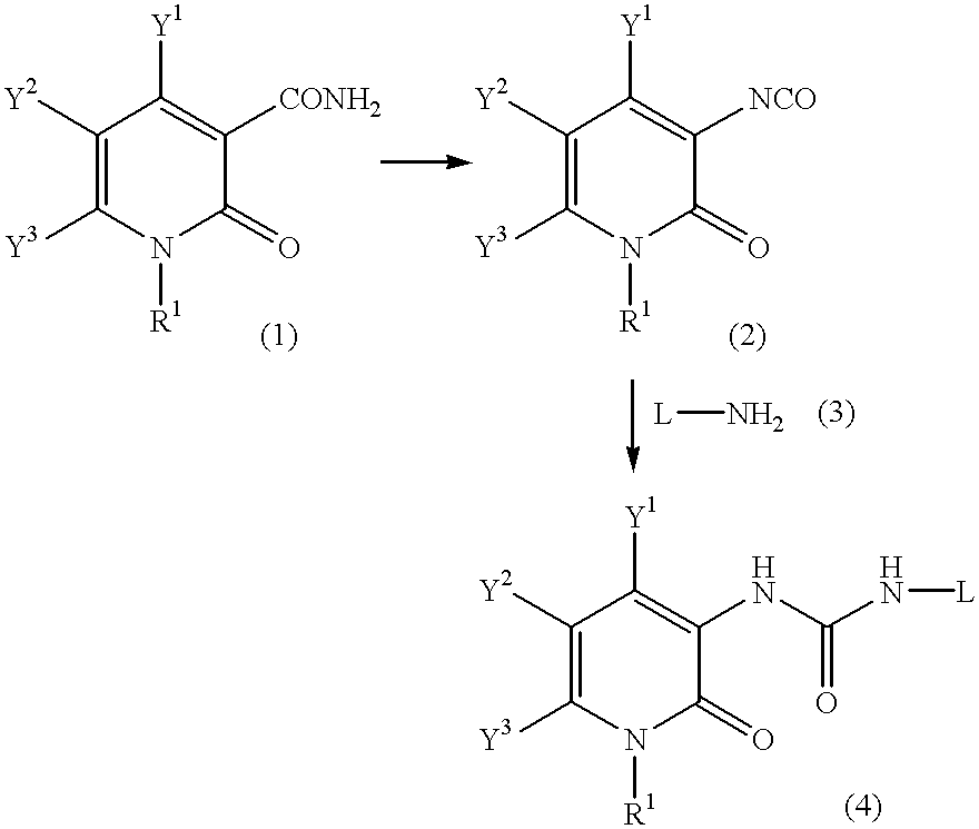 Pyridone derivatives and process for preparing the same